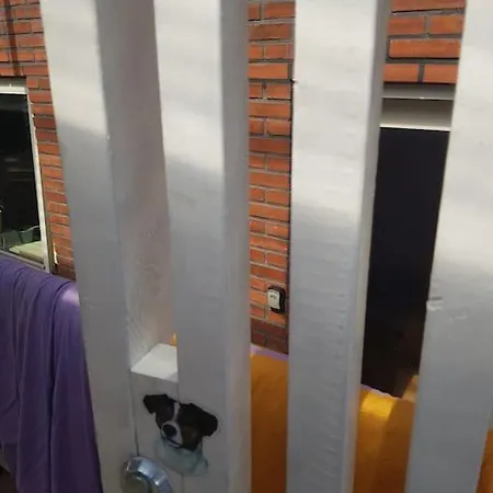 Apartment Lille Lejlighed Med Egen Indgang